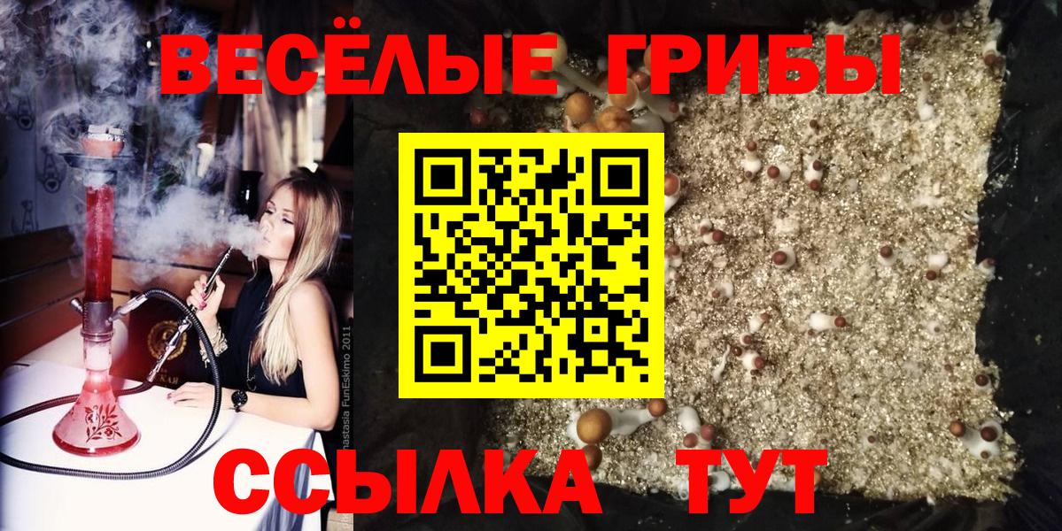 Псилоцибиновые грибы мухоморы Кемерово