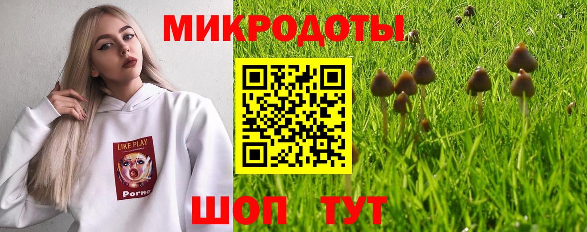 Псилоцибиновые грибы Psilocybe  Псилоцибиновые грибы Cubensis  Кемерово  Вход с VPN 